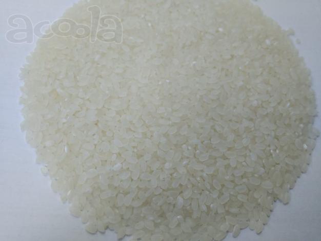 Высококачественный Приморский рис, Китайская селекция